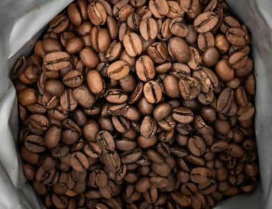 pexels-justus-menke-3490295-5214207